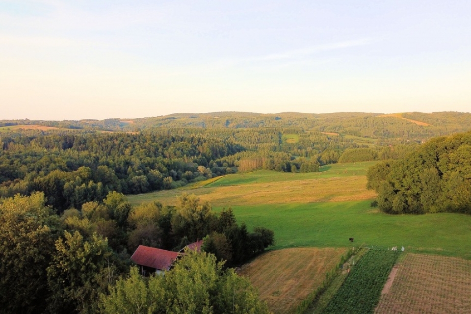 Grunty rolne ok. 34 ha