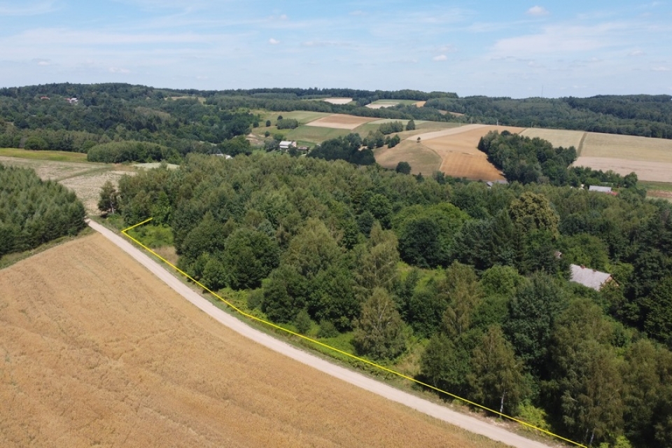 Dom z lasem Pstrągowa 4,58ha.